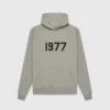 Essentials 1977 Dark Hoodie Gray